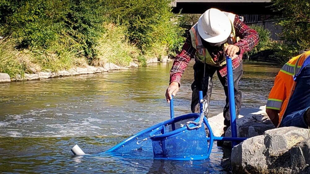 Nautilus installation by The Greenway Foundation along the Cherry Creek