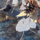 Halloween Mobile_featured image